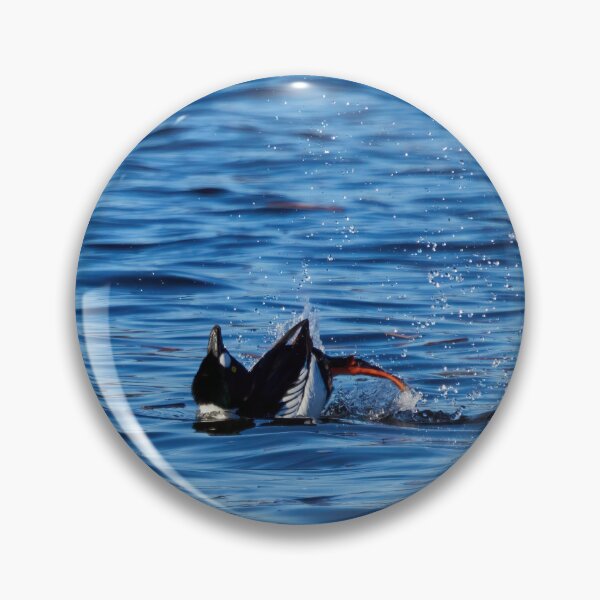 Item preview, Plays of the springtime. Common goldeneye designed and sold by Jouko Lehto Photography.
