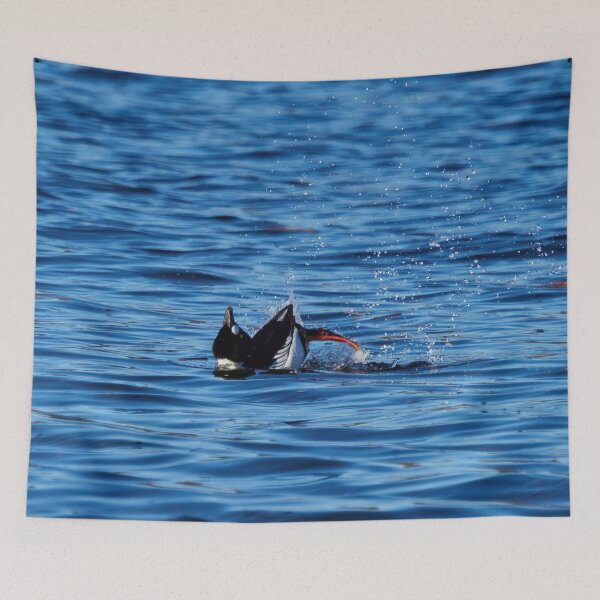 Item preview, Plays of the springtime. Common goldeneye designed and sold by Jouko Lehto Photography.