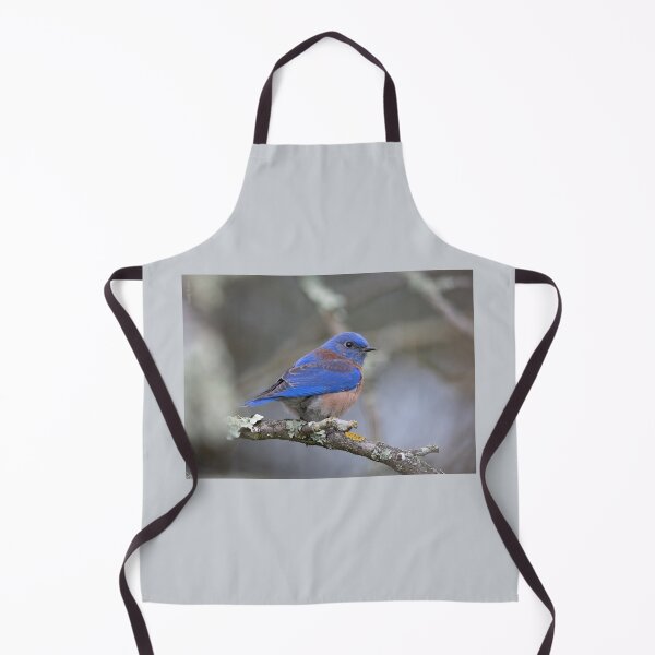 Item preview, Western Bluebird, male adult designed and sold by wildlifist.
