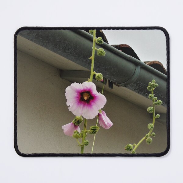 Item preview, Hollyhock designed and sold by ART22.