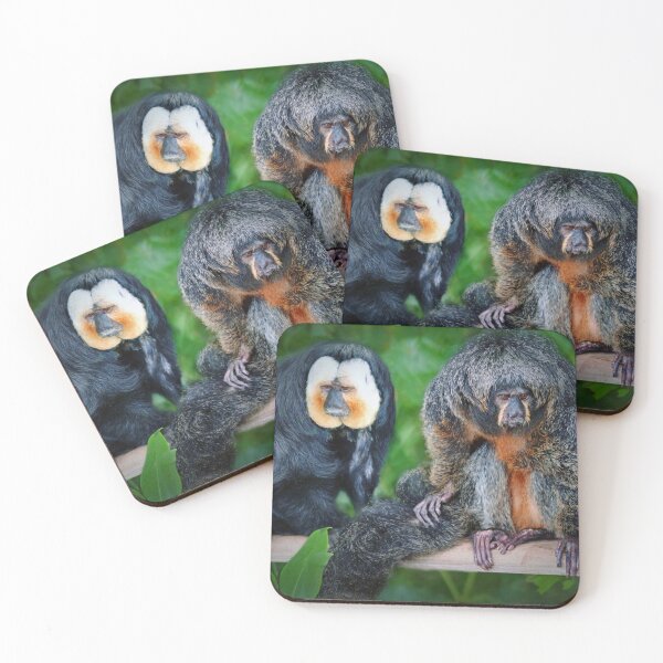 Item preview, Saki Monkeys  designed and sold by Savannah Gibbs.