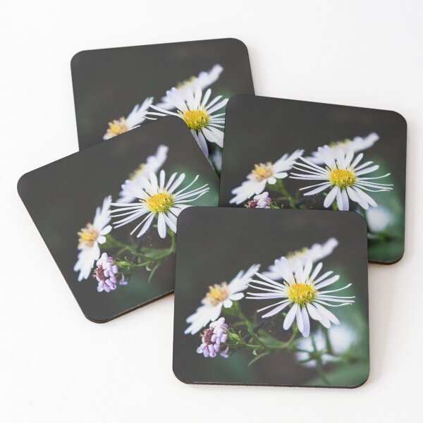 Item preview, Daisies designed and sold by stevechipo.