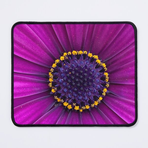 Item preview, cape marguerite designed and sold by Ponted.