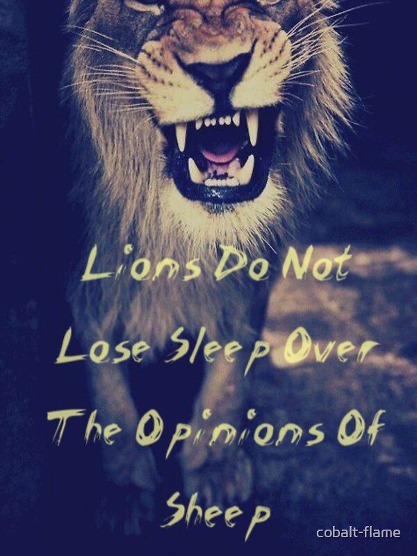 lions dont lose sleep over the opinions of sheep lions dont lose sleep over the opinions of sheep