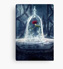 Enchanted Rose Canvas Print