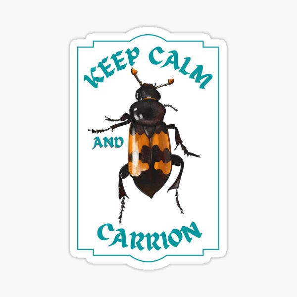 Keep Calm and Carrion Beetle Glossy Sticker