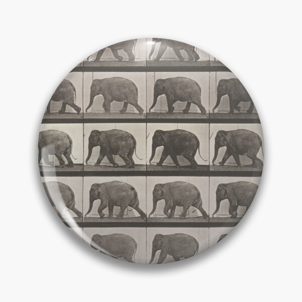 Item preview, Elephant Locomotion designed and sold by ArchiveFox.