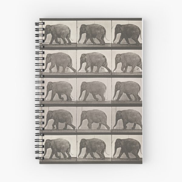 Item preview, Elephant Locomotion designed and sold by ArchiveFox.