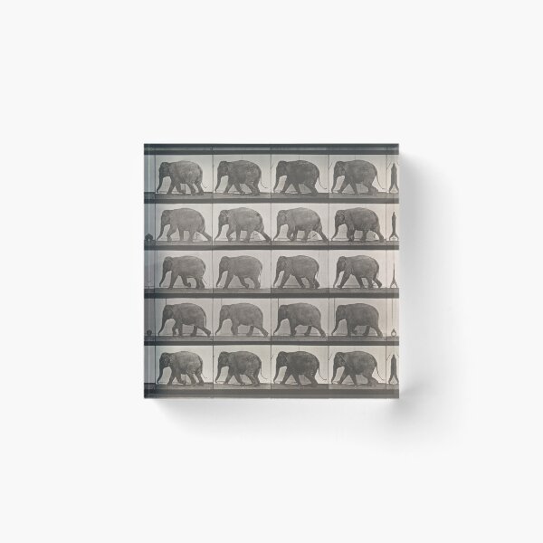 Item preview, Elephant Locomotion designed and sold by ArchiveFox.