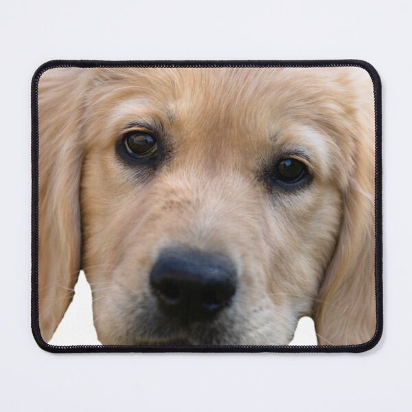 Item preview, Cute Golden Retriever dog , face puppy. designed and sold by Ssimo30.