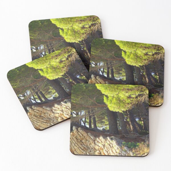 Item preview, Coastal Rocks with Pine Trees, Adriatic Sea, - Photography by BranaghBel designed and sold by branaghbel.