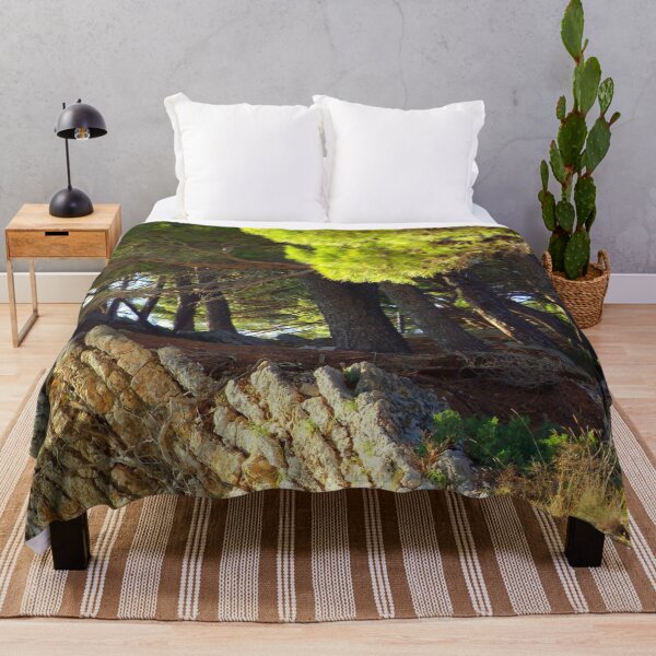 Item preview, Coastal Rocks with Pine Trees, Adriatic Sea, - Photography by BranaghBel designed and sold by branaghbel.