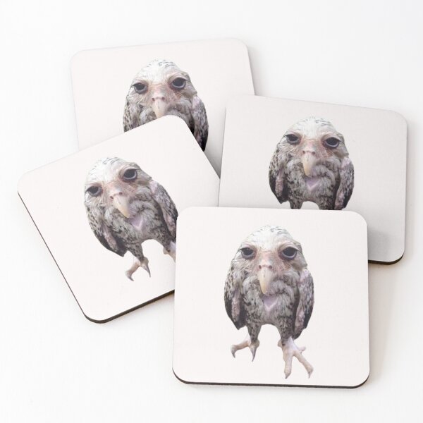 Item preview, Wet Owl Funny Meme  designed and sold by ShopbyZora22.
