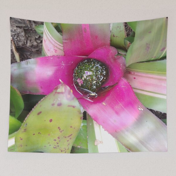 Item preview, Fairy Pool designed and sold by HFGjewels.