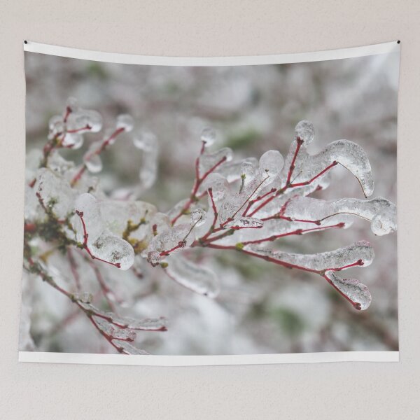 Item preview, Red Frozen Winter Branches designed and sold by Michael Worley.