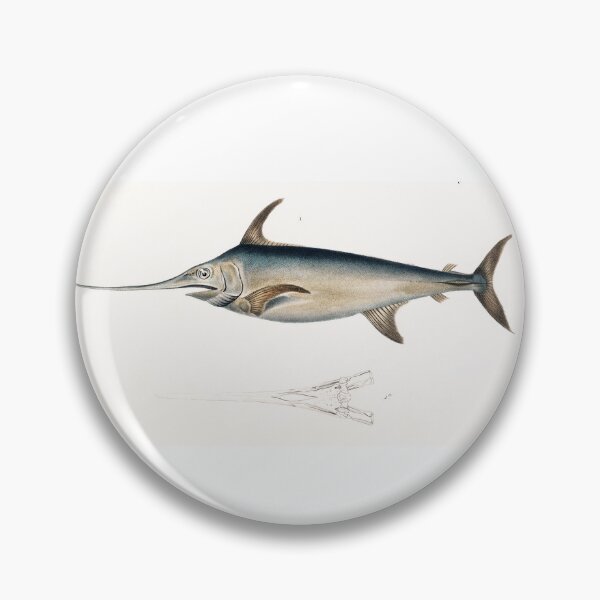 Item preview, RARE EXOTIC FISH. THE ANIMAL KINGDOM (1836) designed and sold by metaweb.