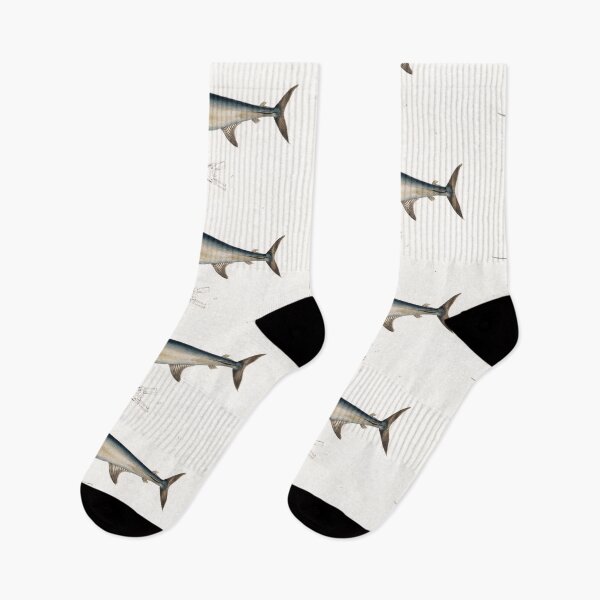 Item preview, RARE EXOTIC FISH. THE ANIMAL KINGDOM (1836) designed and sold by metaweb.