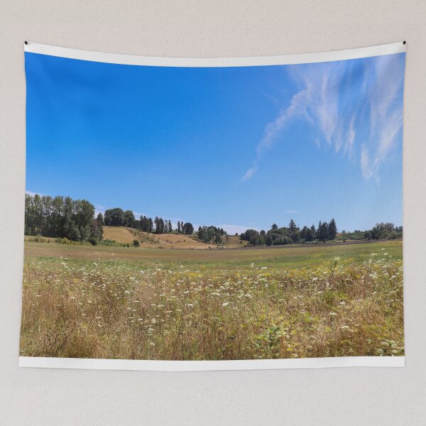 Item preview, Molalla River State Park designed and sold by Michael Worley.