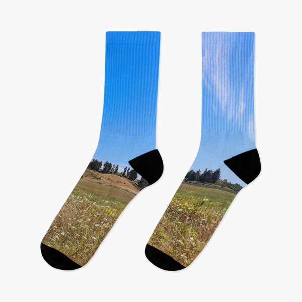 Item preview, Molalla River State Park designed and sold by Michael Worley.