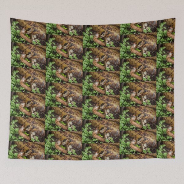 Item preview, Golden-crowned Snake - Cacophis squamulosus designed and sold by Normf.