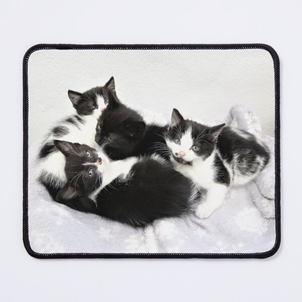 Item preview, Four Sleepy Kittens designed and sold by Ladymoose.