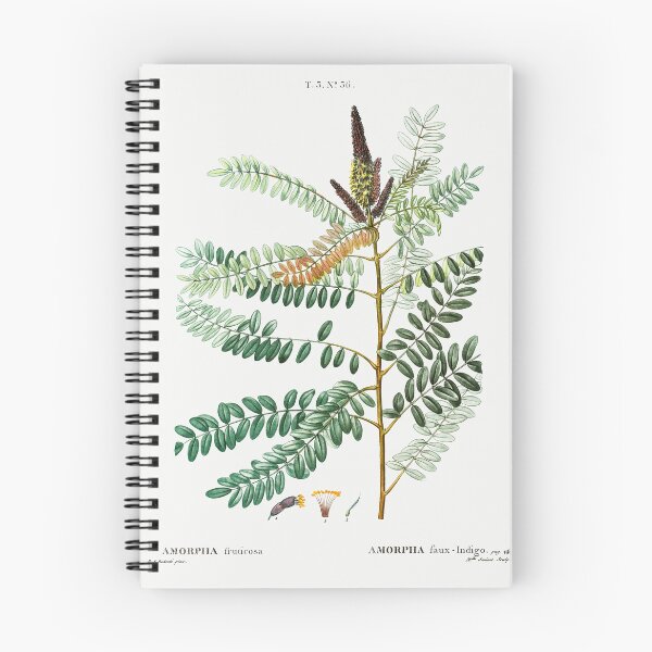 Item preview, False indigo bush - Traité des Arbres et Arbustes que l’on cultive en France en pleine terre by Pierre-Joseph Redouté.  designed and sold by UsedToBeStatue.