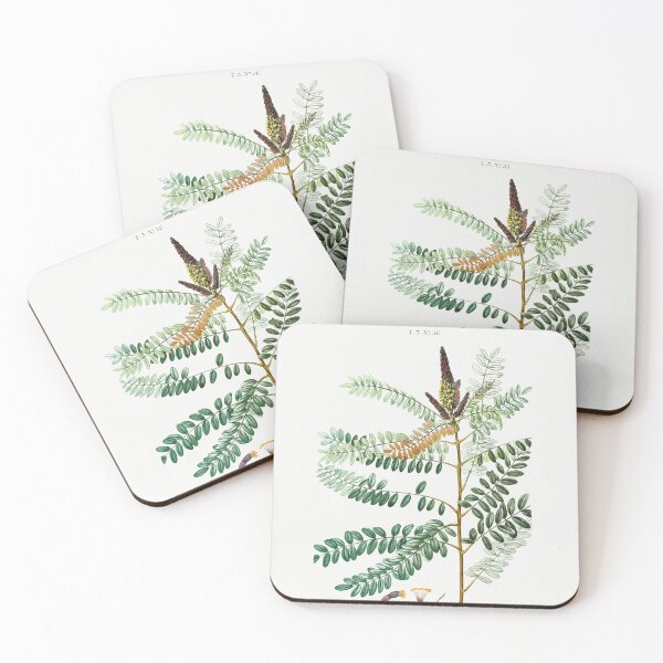 Item preview, False indigo bush - Traité des Arbres et Arbustes que l’on cultive en France en pleine terre by Pierre-Joseph Redouté.  designed and sold by UsedToBeStatue.
