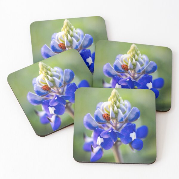 Item preview, Capuchón azul de Texas designed and sold by jonesing.