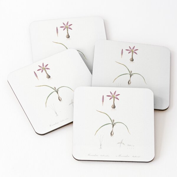 Item preview, Spring meadow saffron illustration - Les liliacées by Pierre-Joseph Redout designed and sold by UsedToBeStatue.