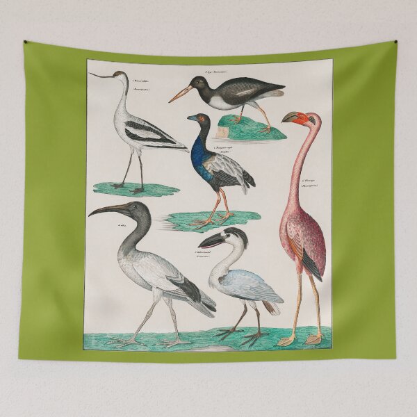 Item preview, COLORFUL BIRDS,FLAMINGO AND SWAN. LORENZ OKEN (1843) designed and sold by metaweb.