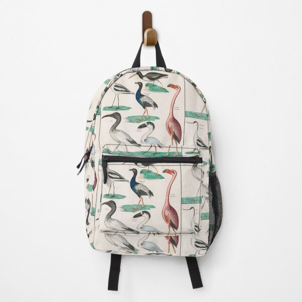 Item preview, COLORFUL BIRDS,FLAMINGO AND SWAN. LORENZ OKEN (1843) designed and sold by metaweb.