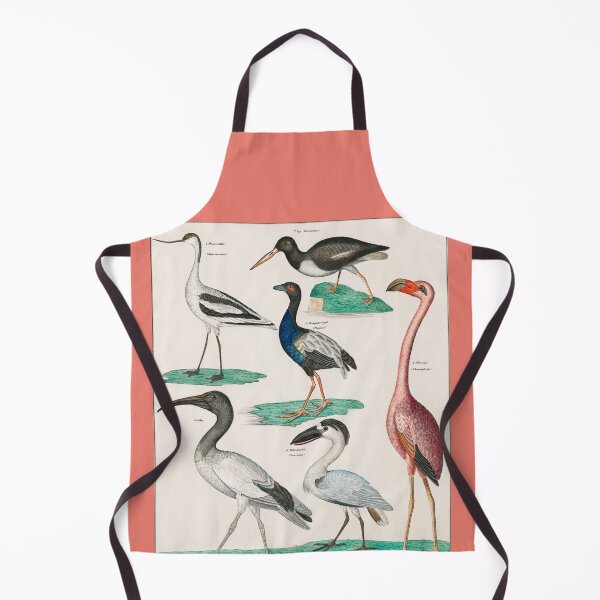 Item preview, COLORFUL BIRDS,FLAMINGO AND SWAN. LORENZ OKEN (1843) designed and sold by metaweb.