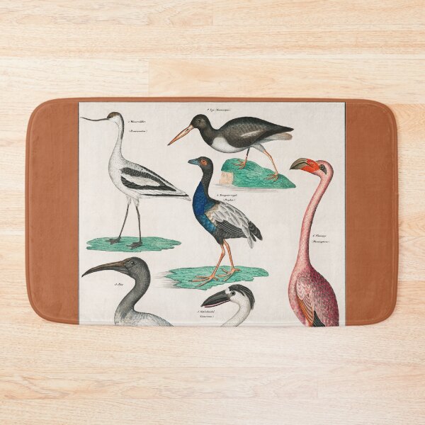 Item preview, COLORFUL BIRDS,FLAMINGO AND SWAN. LORENZ OKEN (1843) designed and sold by metaweb.
