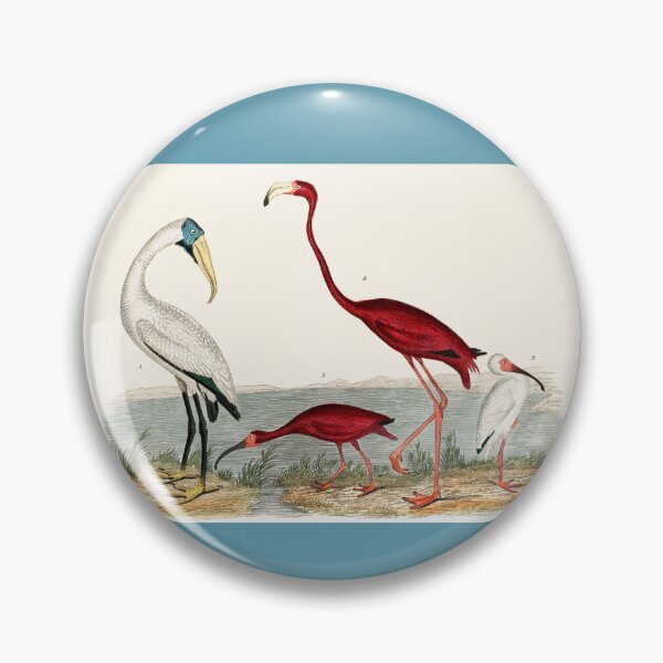 Item preview, FLAMINGO AND ITS COMPANION. AMERICAN NATURE. ALEXANDER WILSON (1843) designed and sold by metaweb.