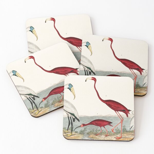 Item preview, FLAMINGO AND ITS COMPANION. AMERICAN NATURE. ALEXANDER WILSON (1843) designed and sold by metaweb.
