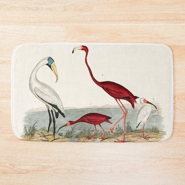 Item preview, FLAMINGO AND ITS COMPANION. AMERICAN NATURE. ALEXANDER WILSON (1843) designed and sold by metaweb.