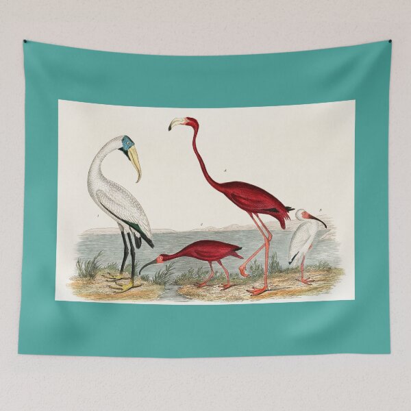 Item preview, FLAMINGO AND ITS COMPANION. AMERICAN NATURE. ALEXANDER WILSON (1843) designed and sold by metaweb.