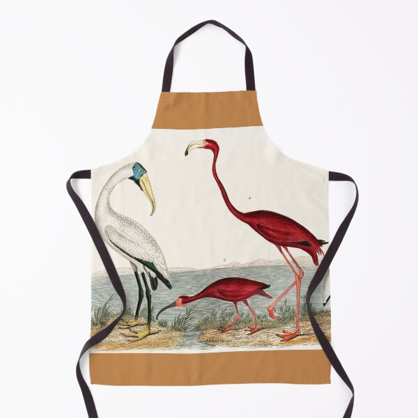 Item preview, FLAMINGO AND ITS COMPANION. AMERICAN NATURE. ALEXANDER WILSON (1843) designed and sold by metaweb.