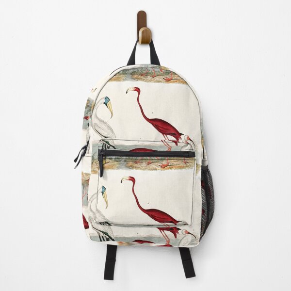 Item preview, FLAMINGO AND ITS COMPANION. AMERICAN NATURE. ALEXANDER WILSON (1843) designed and sold by metaweb.