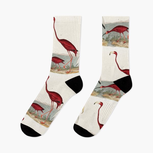 Item preview, FLAMINGO AND ITS COMPANION. AMERICAN NATURE. ALEXANDER WILSON (1843) designed and sold by metaweb.
