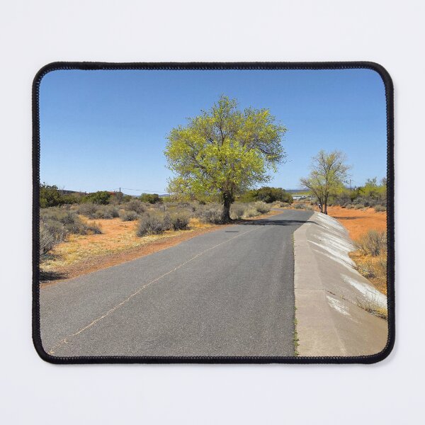 Item preview, Tree in a Desert Landscape - Long Road Southwest Photograph designed and sold by Talia Felix.
