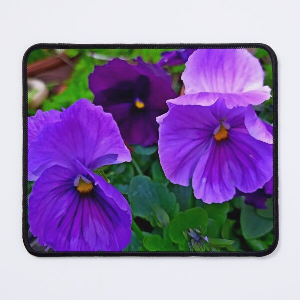 Item preview, Purple pansies photo By Iritof designed and sold by iritof.