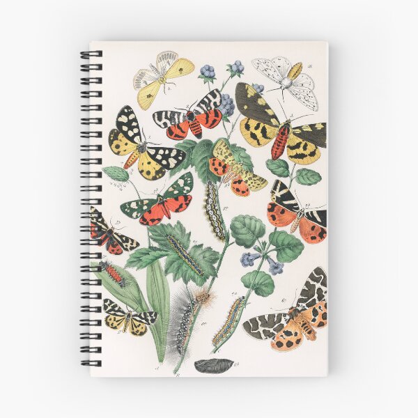 Item preview, COLORFUL EUROPEAN BUTTERFLIES AND MOTHS. WILLIAM FORSELL KIRBY (1882) designed and sold by metaweb.