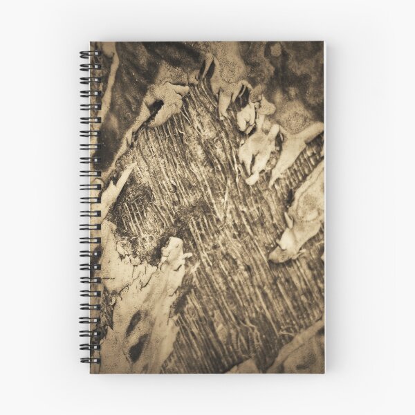 Item preview.