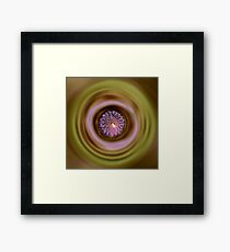 Evolution Framed Print