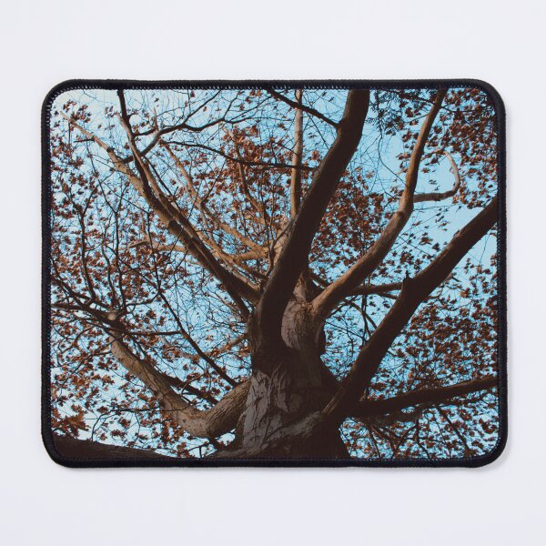 Item preview, Twisting Fall Tree designed and sold by RoseyElisabeth.