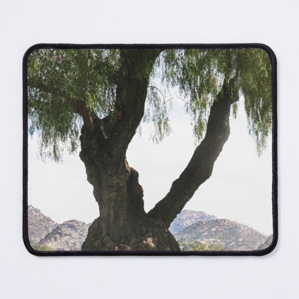 Item preview, Pepper Tree in Lindo  Park designed and sold by heatherfriedman.