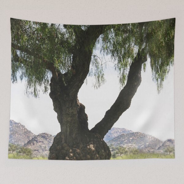 Item preview, Pepper Tree in Lindo  Park designed and sold by heatherfriedman.