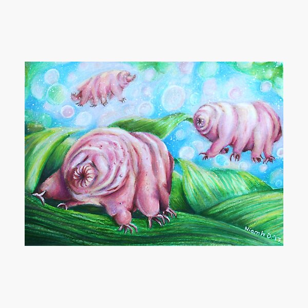 "Goldilocks & The Three Water Bears" Photographic Print by NiamhWitch