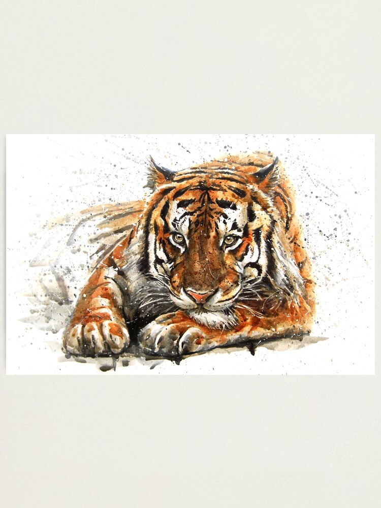 Tiger Aquarell Fotodruck Von Kostart Redbubble